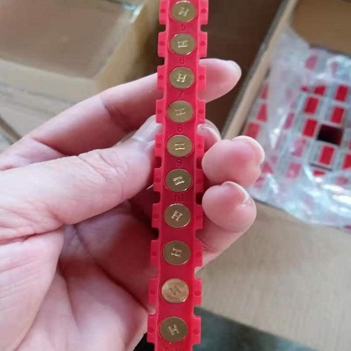 میخ و چاشنی