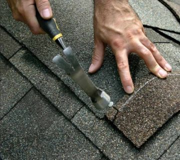 فروشنده شینگل