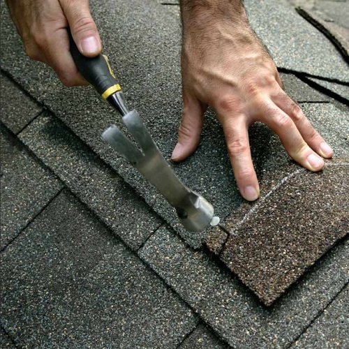 فروشنده شینگل