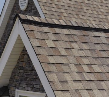 اجرای شینگل ترک