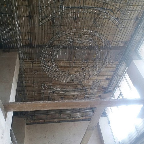 مجری رابیتس تهران