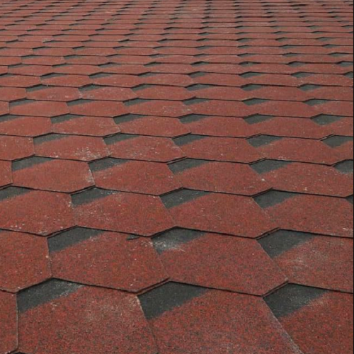 اجرای شینگل در گیلان